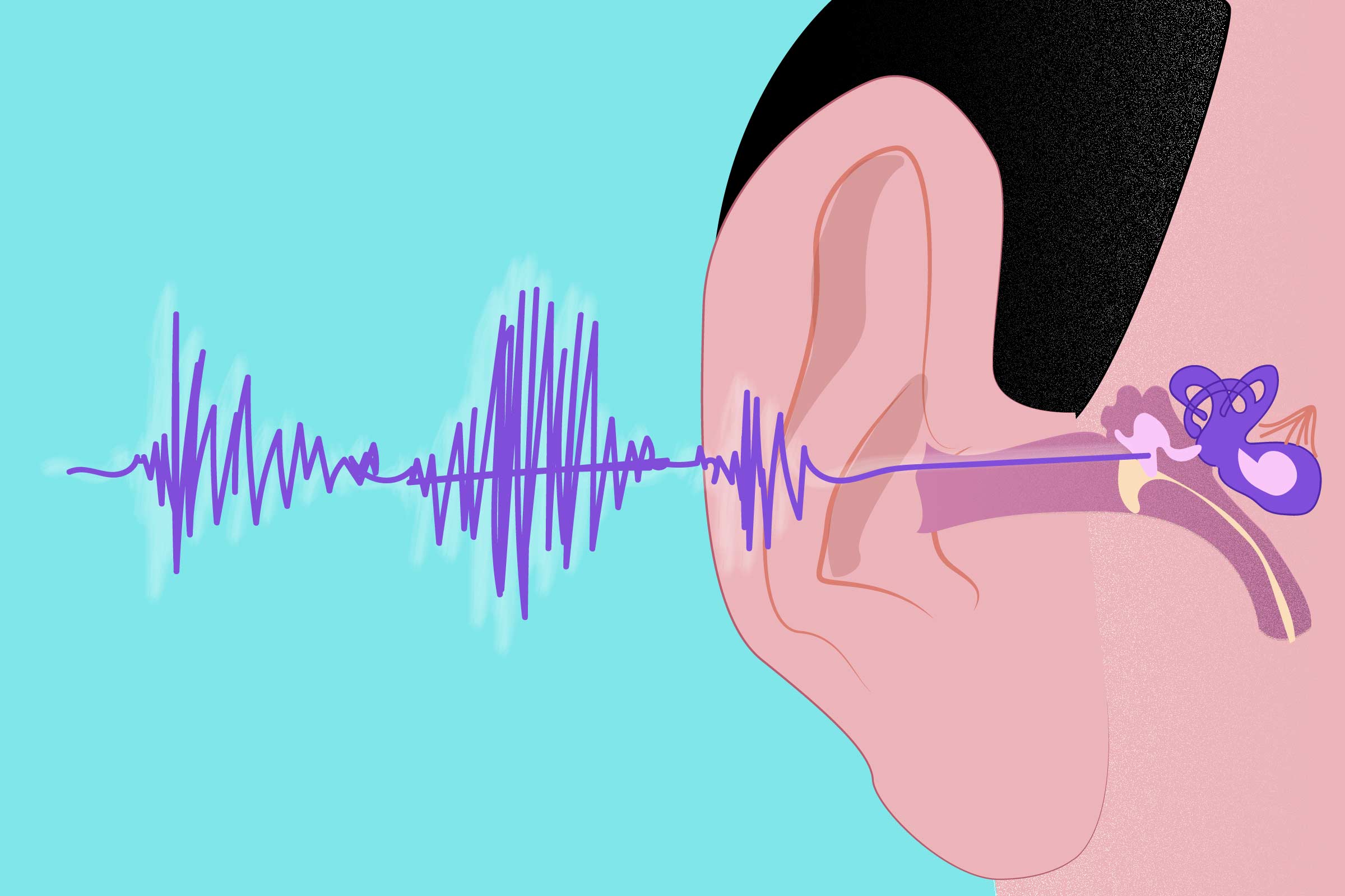 Osteoporosis and Hearing Loss