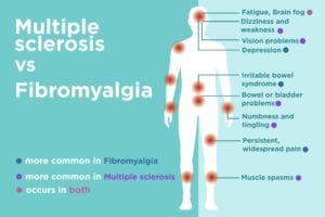 Fibromyaglia vs MS