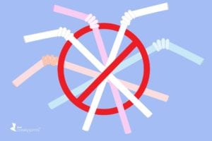 Plastic Straw Ban