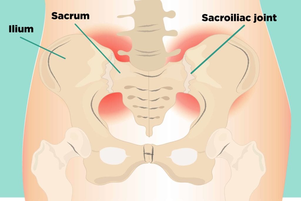 sacroiliac joint muscles