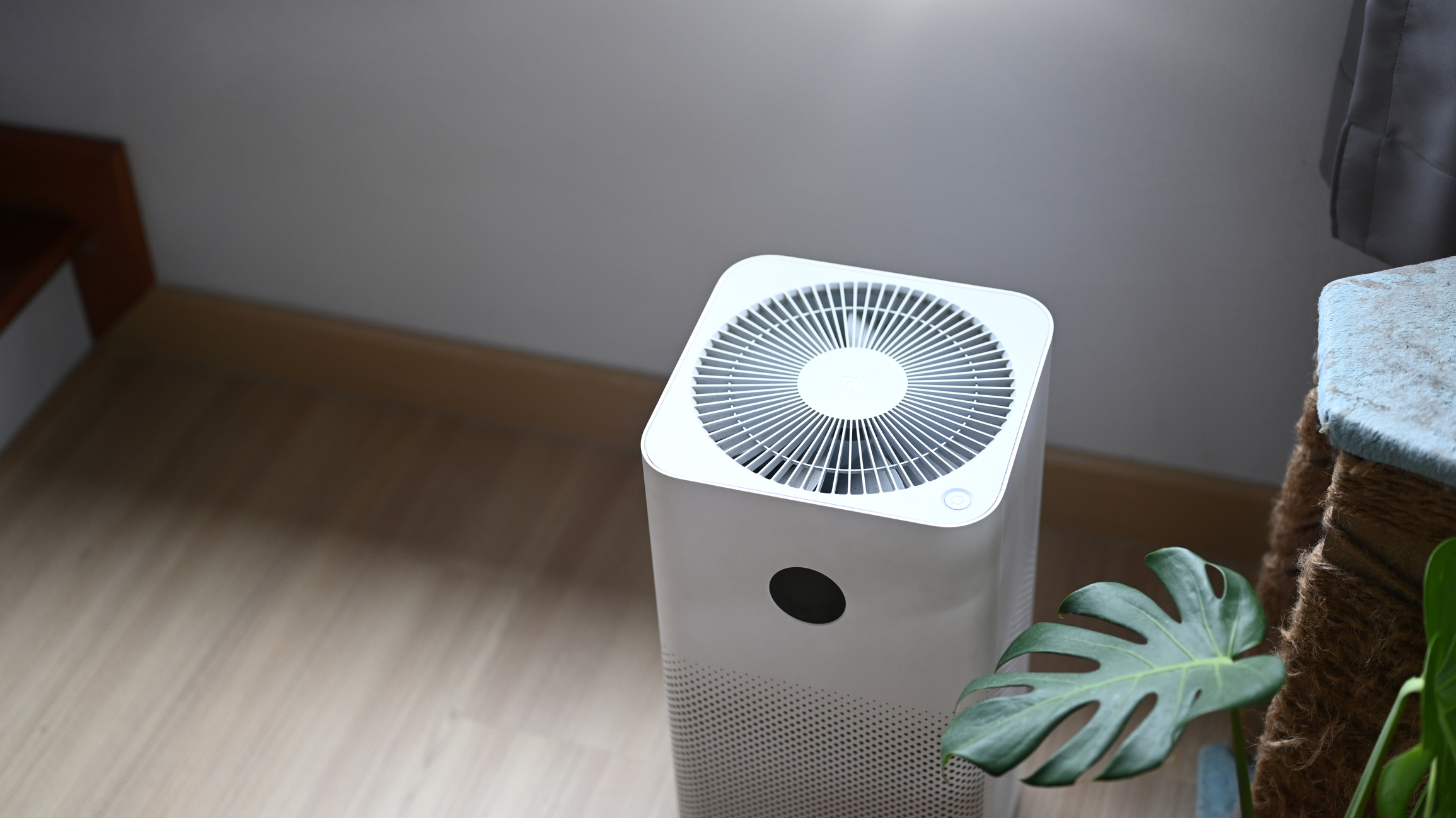 How to Find a Portable Air Purifier to Help Reduce Exposure to COVID-19  Aerosols
