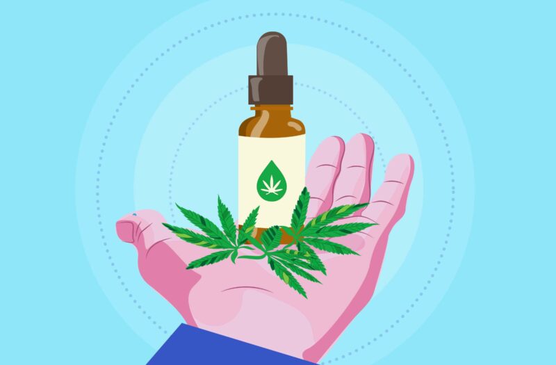 Cartoon shows a hand holding cannabis leaves and CBD oil