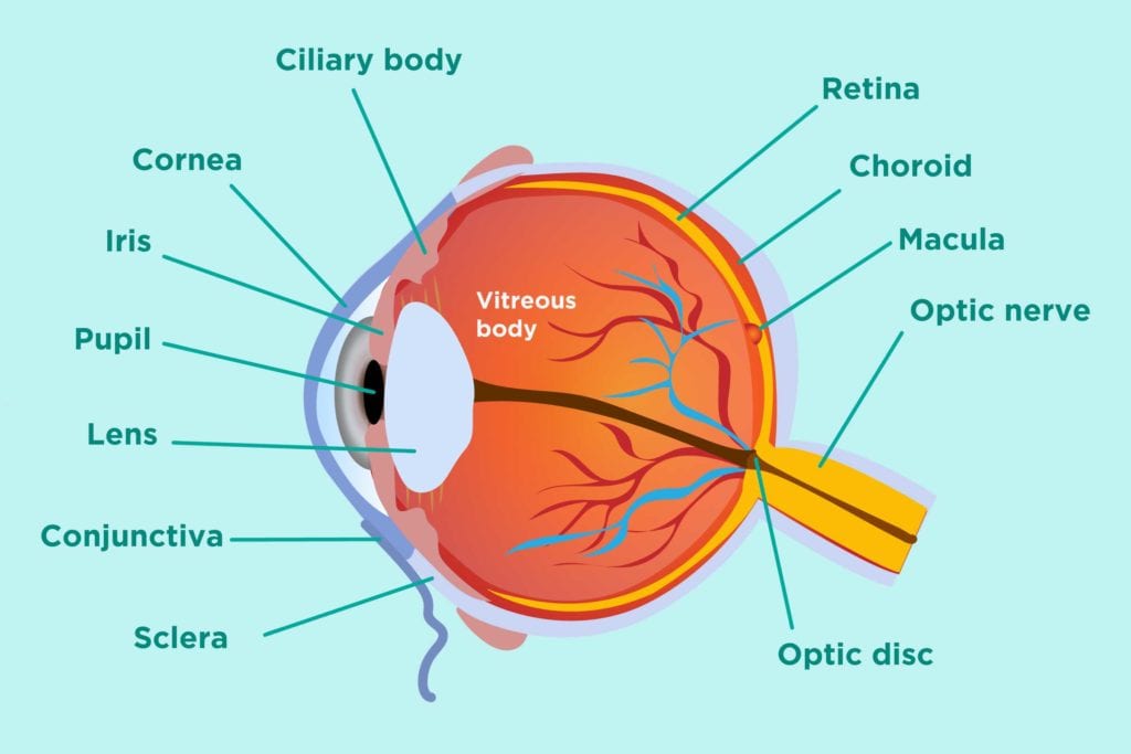 Inflammatory Arthritis and Eye Health: Prevention, Symptoms, Treatment