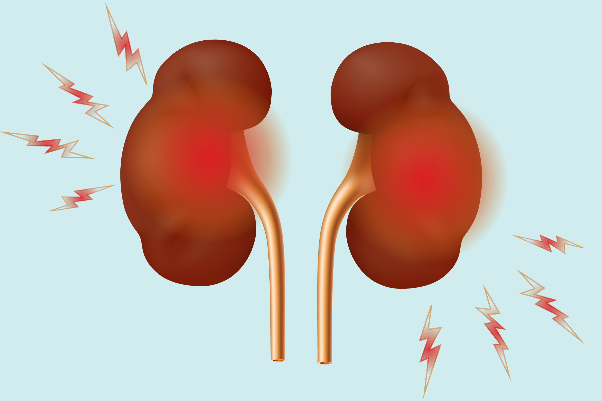 What Does Inflammation Of Kidney Mean