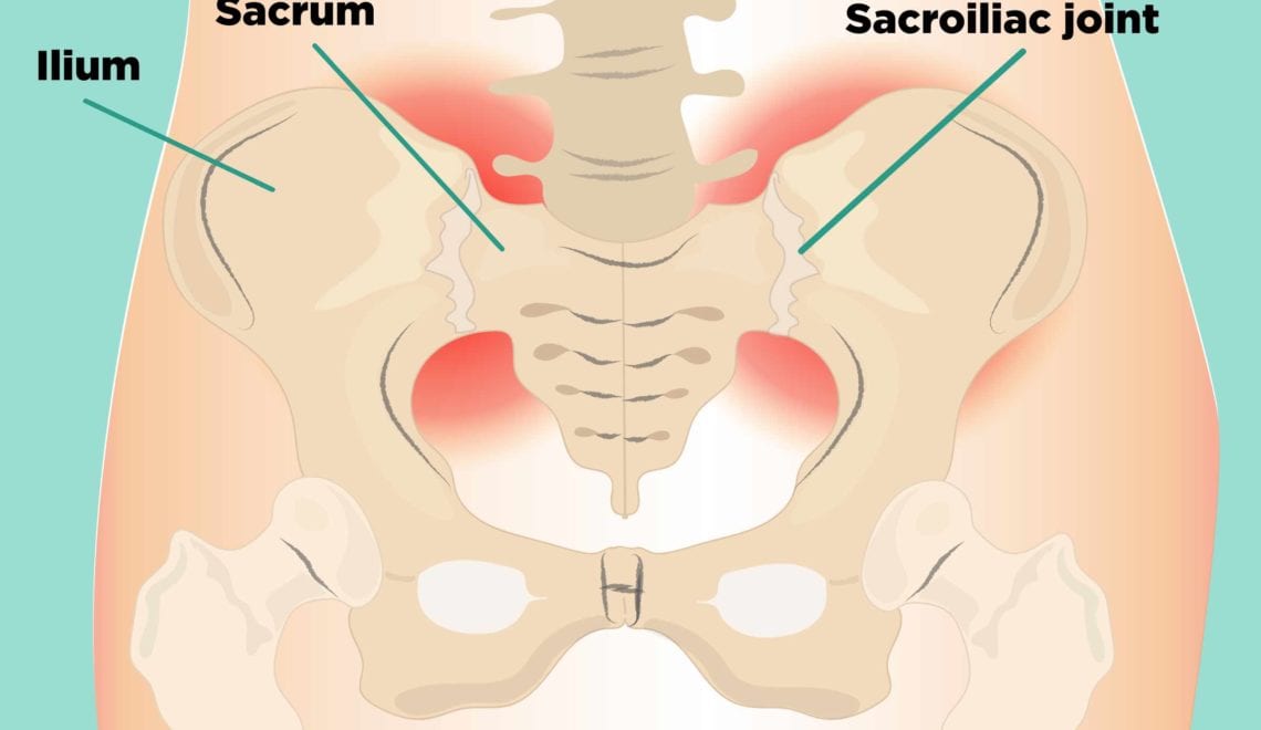 Illustration showing the hip and spine