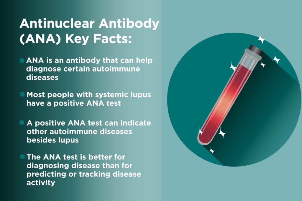 What Is The Antinuclear Antibody Ana Test