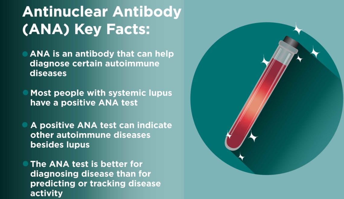 Antinuclear Antibody Test Facts