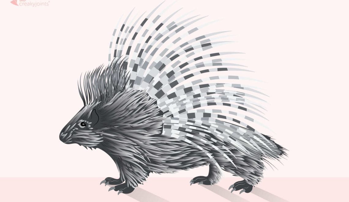 Porcupine Chronic Pain