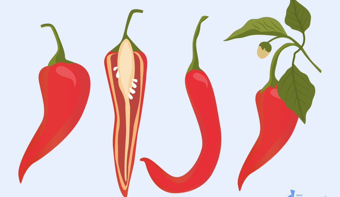 Capsaicin Chili Pepper