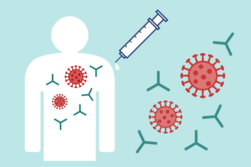 Antibody Testing After the COVID19 Vaccine What to Know If You’re