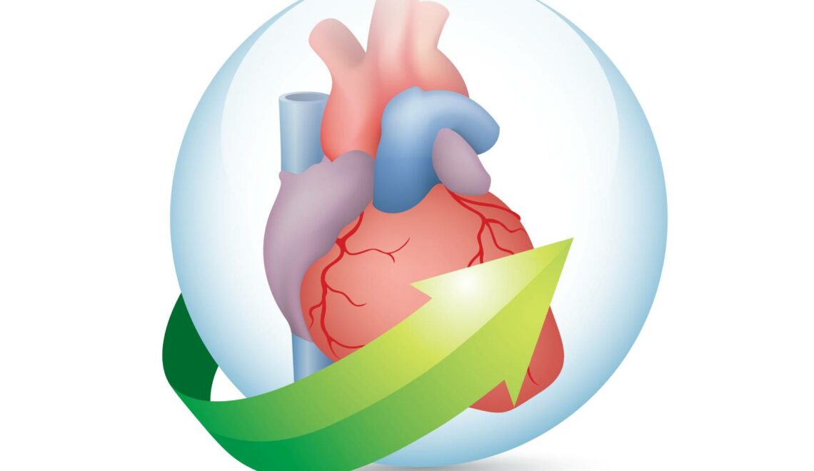 An illustration of a heart placed in a clear globe.