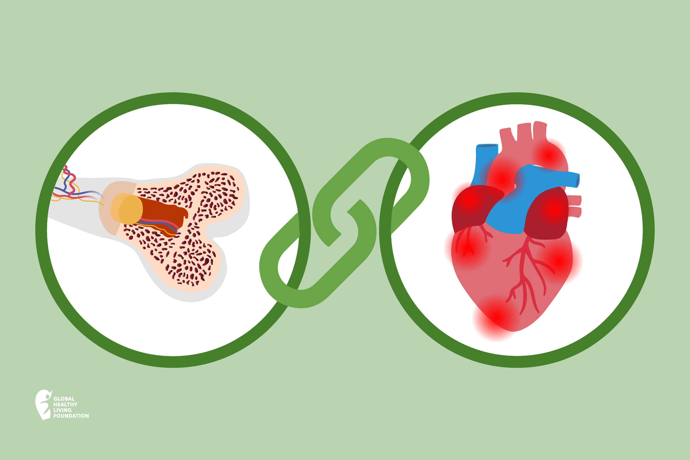 Cardiology 101: Understand and protect your heart